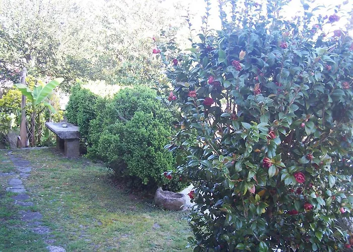 別荘 Casa Paredes - Rias Bajas